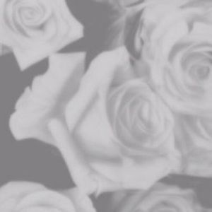 Meet your Posher, Ri